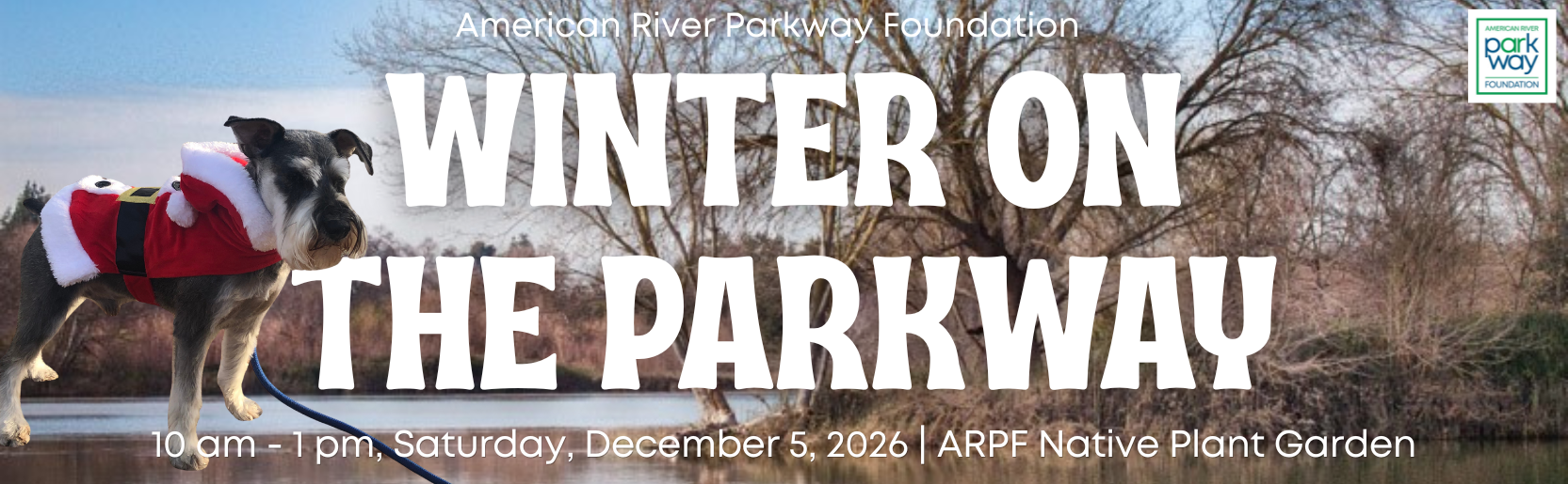 Winter on the American River Parkway
