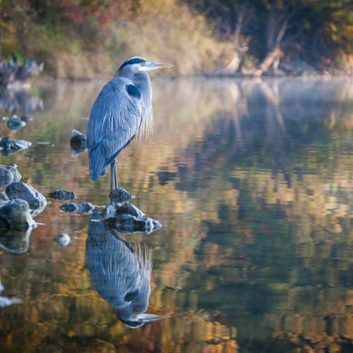 Untitled design Untitled design