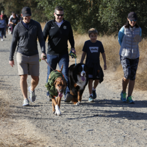 Membership Website Photos